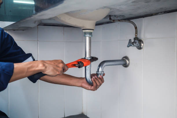 Best Local Plumber Services  in Bloomer, WI